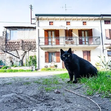Apartamento La Casa Di Otto In Fiera - Con Parcheggio! *